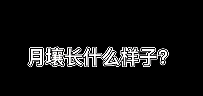 百特3000plus儀器被應(yīng)用于測(cè)試月壤